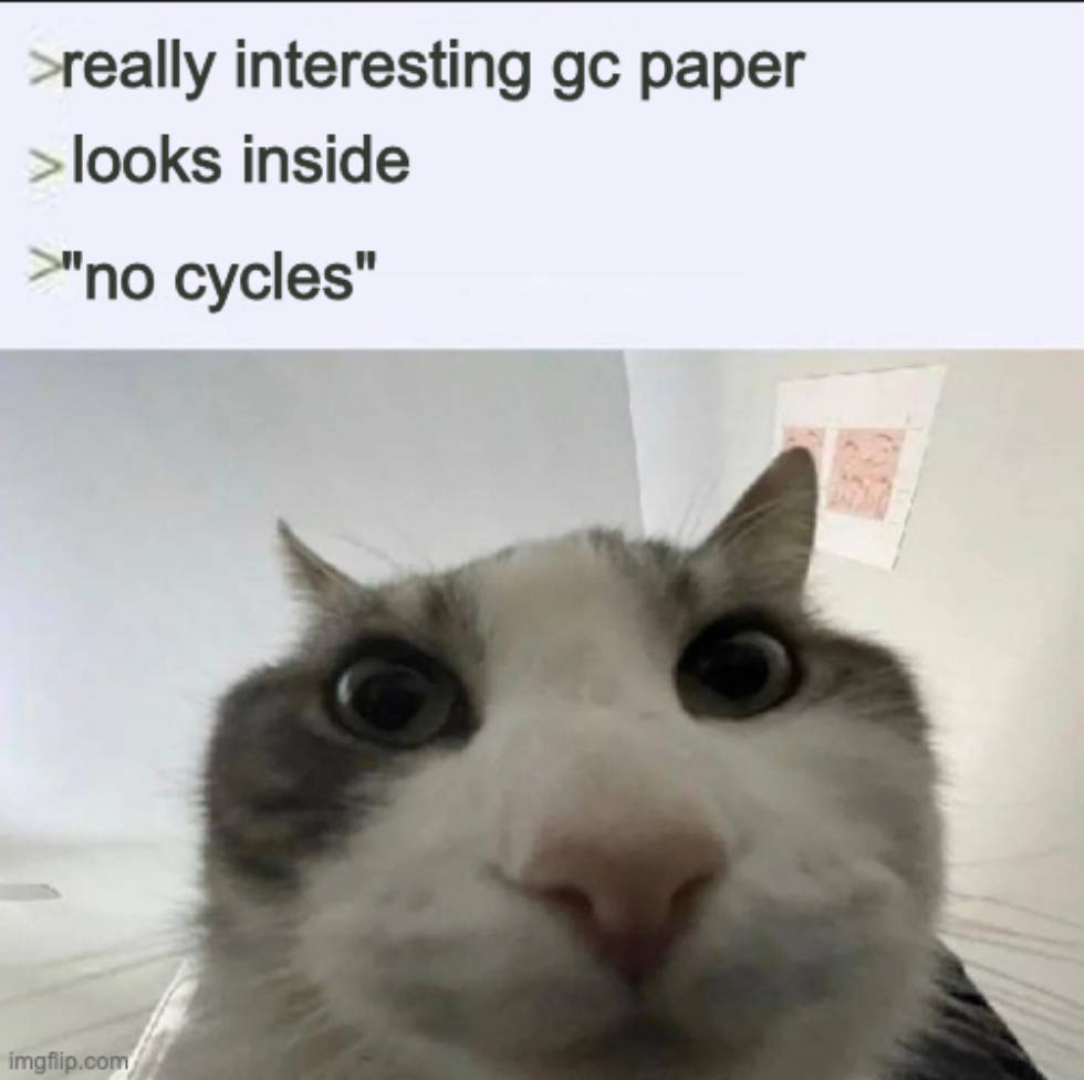 Meme of cat looking down curiously at the viewer with greentext:

> really interesting gc paper
> looks inside
> "no cycles"